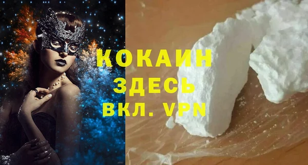 винт Абаза