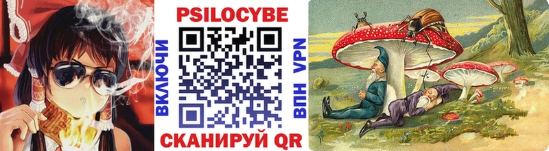 Псилоцибиновые грибы Magic Shrooms магазин продажи наркотиков Фокино